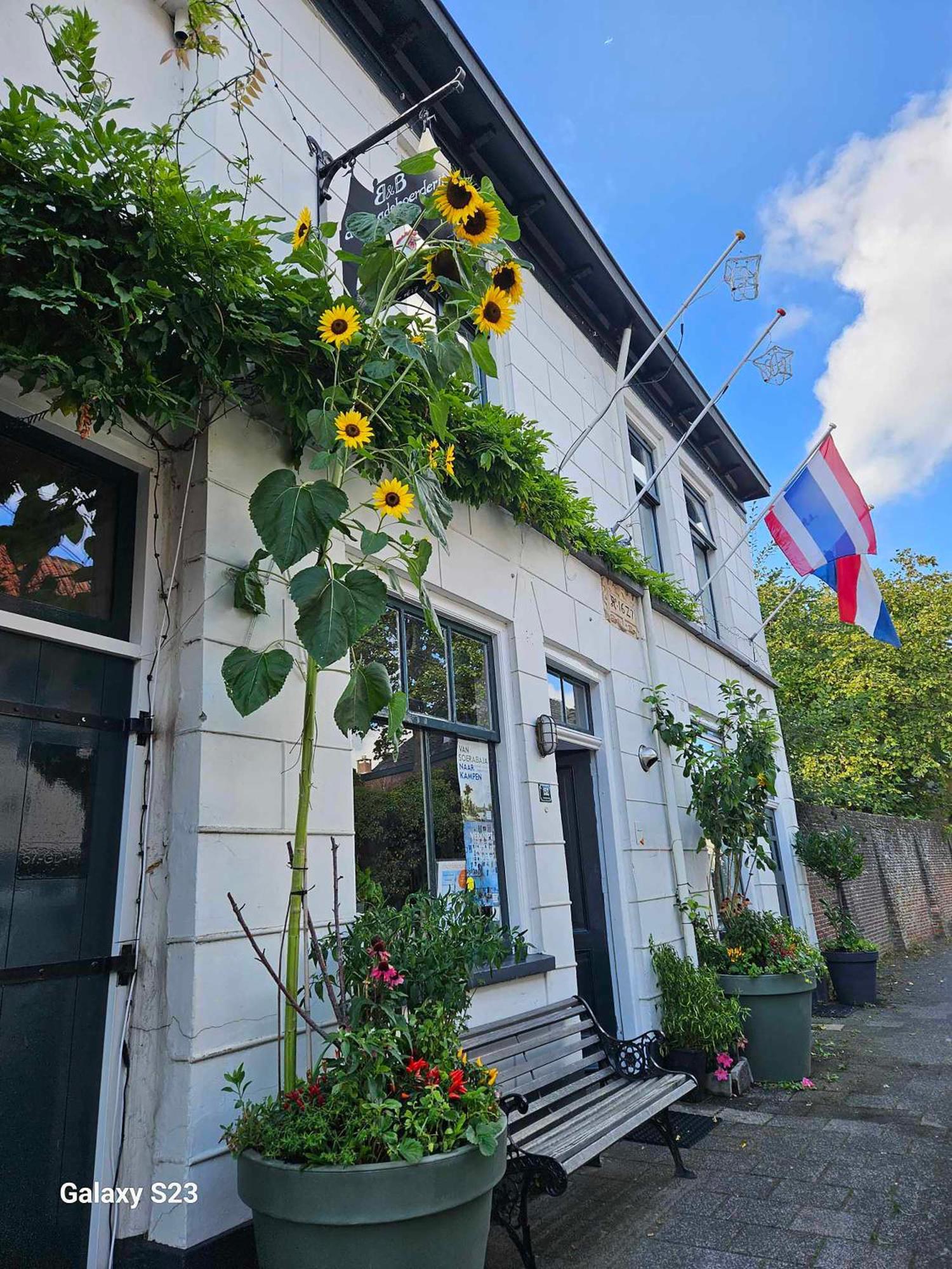 De Stadsboerderij Kampen Ngoại thất bức ảnh