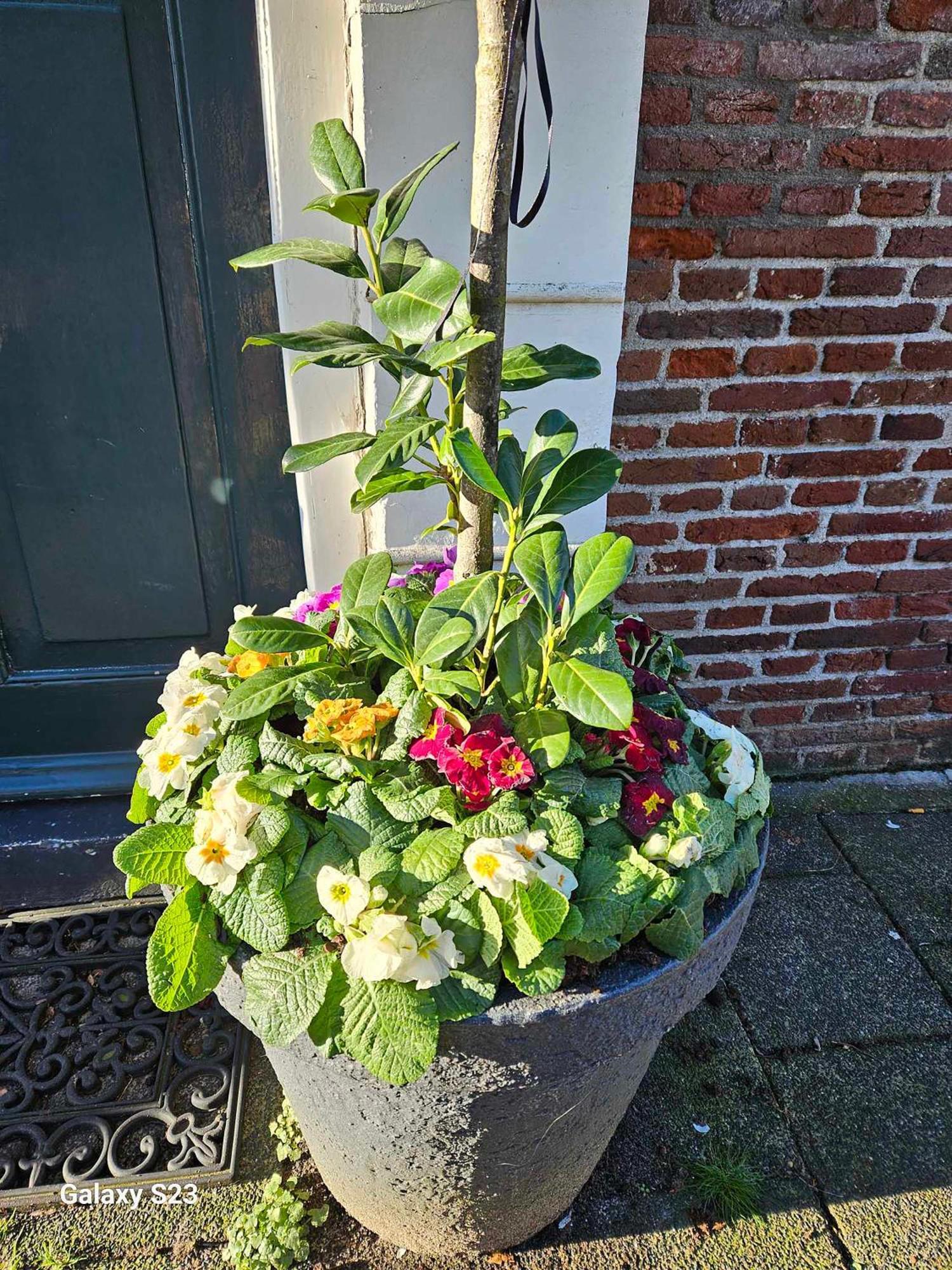 De Stadsboerderij Kampen Ngoại thất bức ảnh