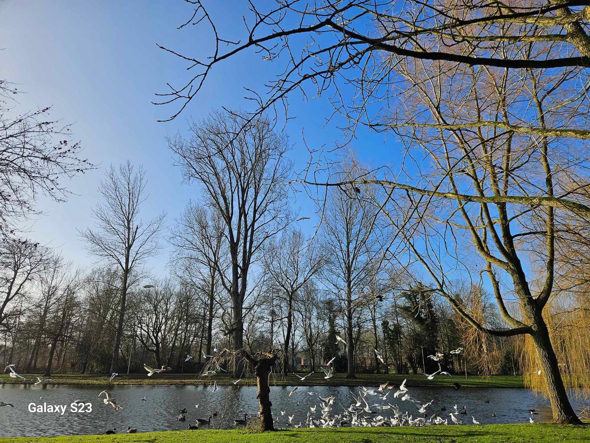 De Stadsboerderij Kampen Ngoại thất bức ảnh